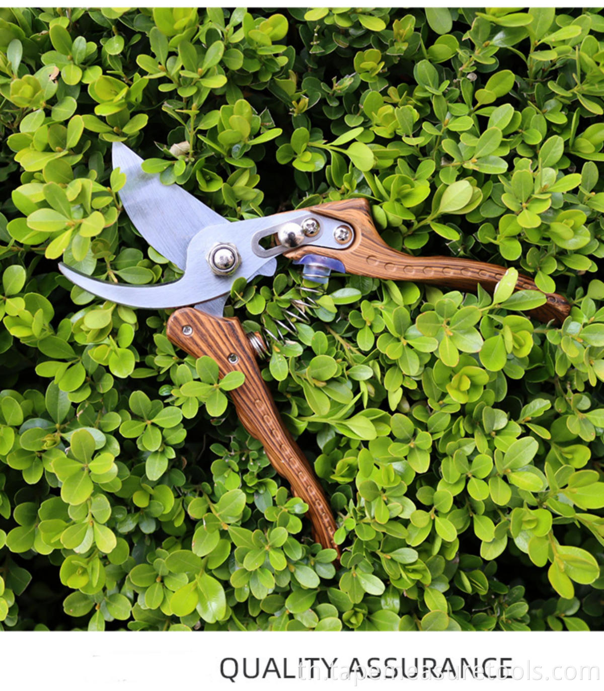 เครื่องมือสวน Gardening Shears สาขากรรไกรกรรไกรตัดแต่งกิ่งบ้านสวน Fine Pruning Grafted ผลไม้กรรไกร